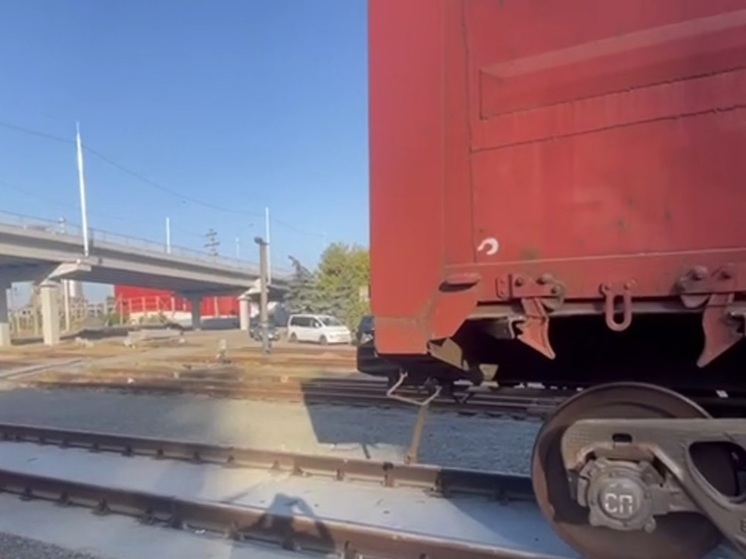 В ДНР на железнодорожной станции «Мариуполь-Порт» запустили автоматизированный весовой комплекс