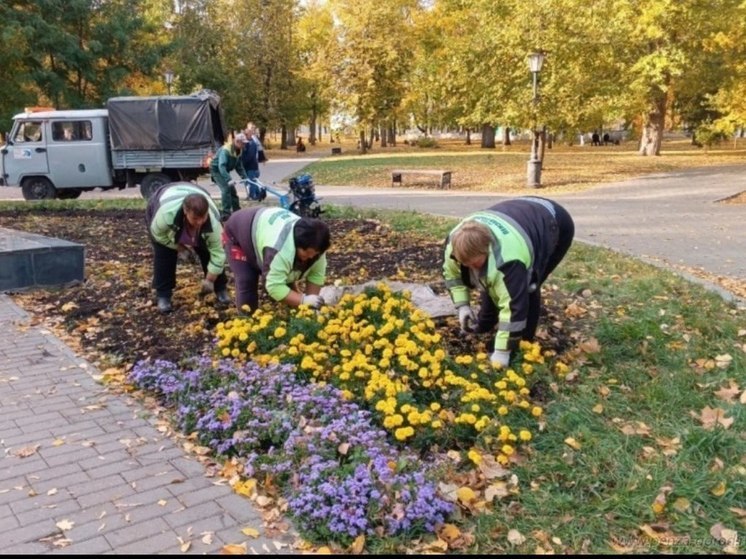 Пензенские клумбы начали готовить к зиме