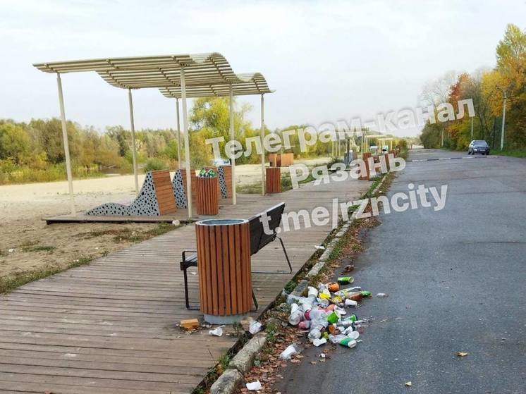 Рязанцы возмутились состоянием пляжа на Ореховом озере