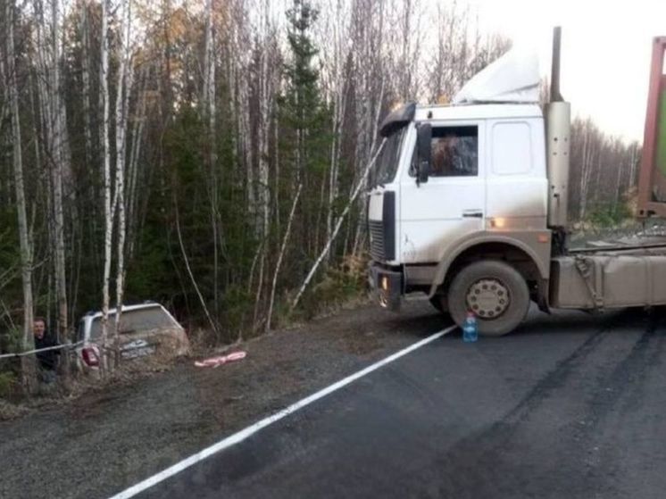 Три машины попали в ДТП с медведем в Приангарье