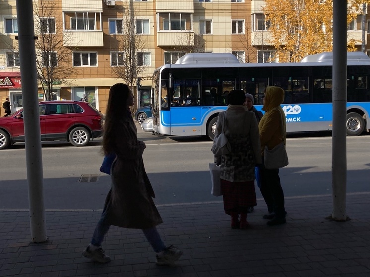 Власти Томска не смогли назвать дату появления теплых остановок в городе