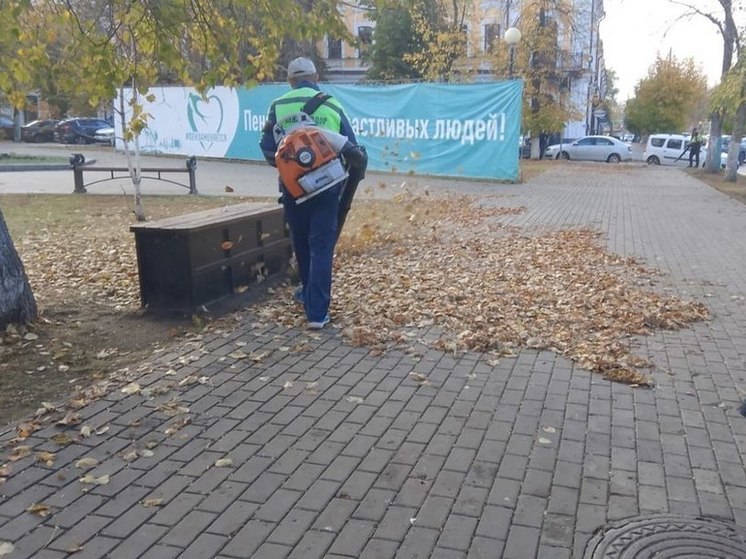Пензенские коммунальщики рассказали, как борются с листопадами