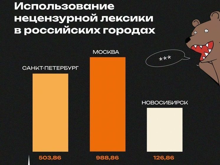 Новосибирск вошел в ТОП-3 городов-матершинников России