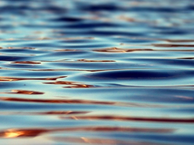 SHOT: тело мужчины всплыло возле "Москва-Сити"