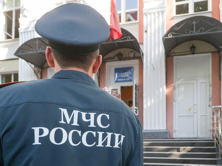 В Карачевском районе Брянской области произошла детонация взрывоопасных предметов