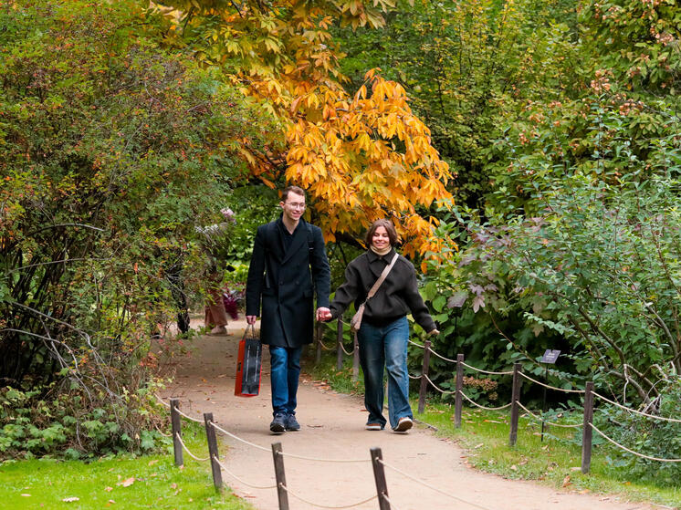 Осень в разгаре: эксперт сделает прогноз на октябрь