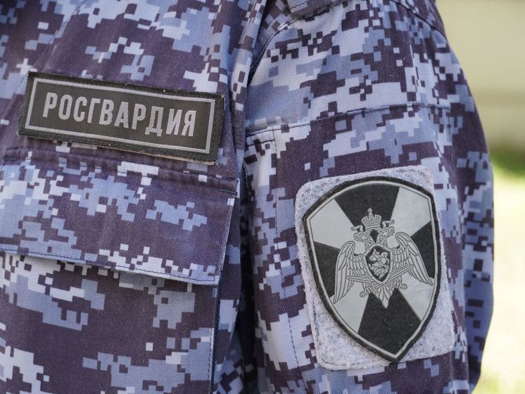 Псковские росгвардейцы задержали подозреваемых в краже