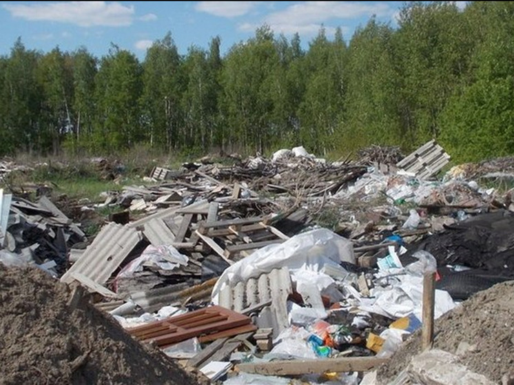 Под Рязанью прокуратура ликвидировать несанкционированную свалку