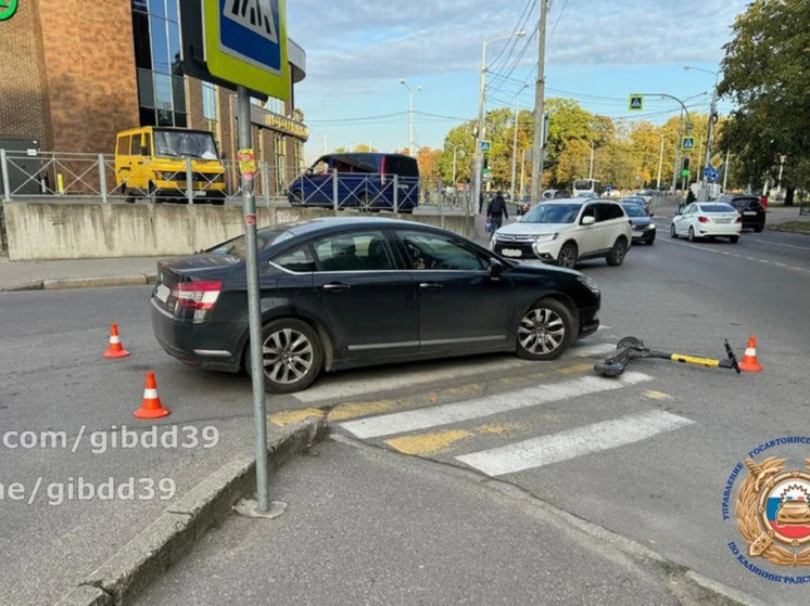 В Калининграде сбили электросамокатчика, ехавшего по зебре