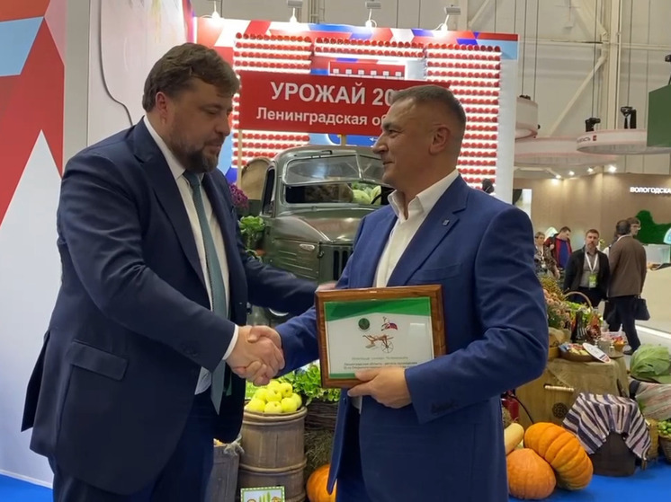 В Ленобласти в августе 2025 года пройдет чемпионат России по пахоте