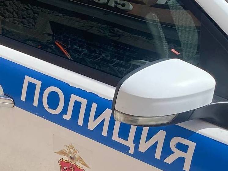 Под окнами многоэтажки в Мурино нашли тело 11-летней девочки