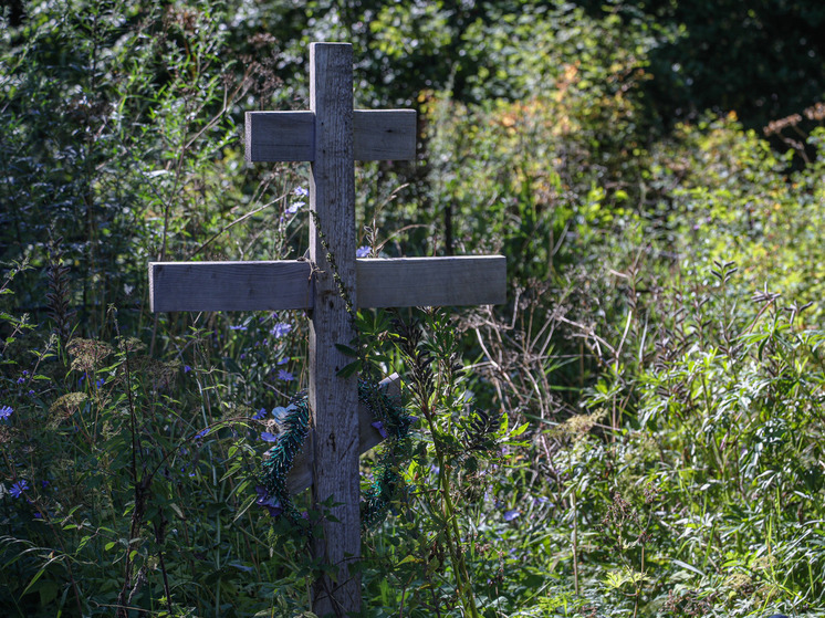 Депутат Разворотнева заявила о критической нехватке кладбищ в России