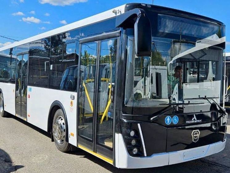 До конца года на дорогах Ленобласти появятся 384 новых автобуса