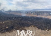 Шесть лесных пожаров ликвидировали 10 октября в Чернышевском, Петровск-Забайкальском, Могочинском и Тунгокоченском районах Забайкальского края