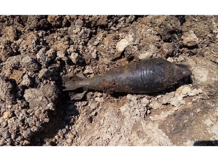 В Велиже нашли две минометные мины времен войны