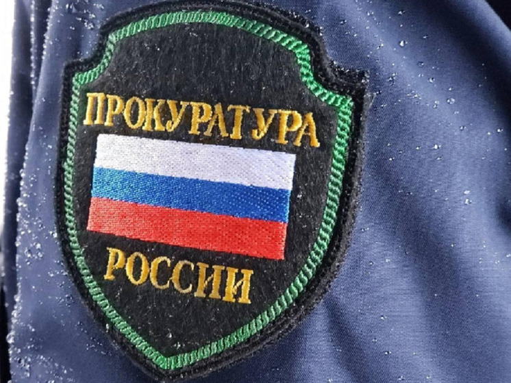 В прокуратуру Новосибирской области обратились с жалобами 1700 семей бойцов СВО