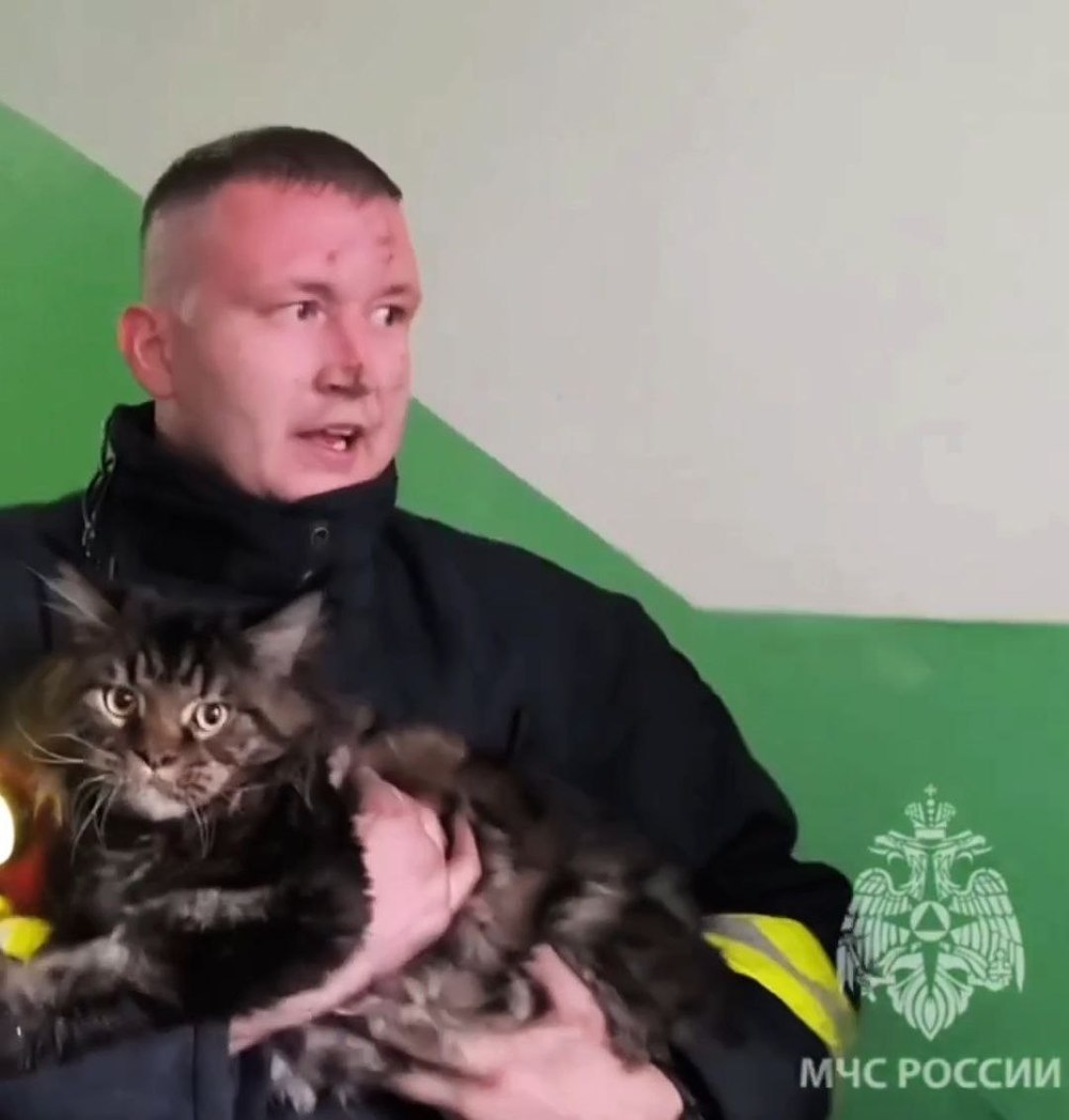 Пламя охватило комнату: сотрудники МЧС спасли новгородку с тремя детьми и их питомцев