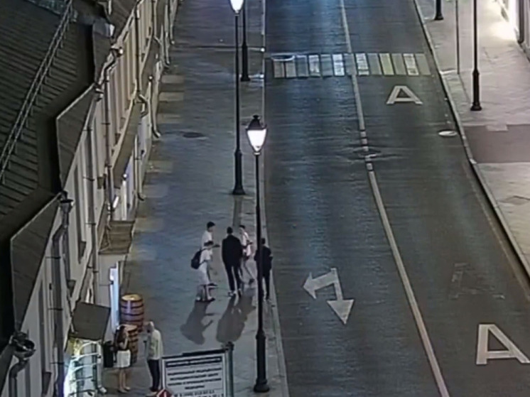 Банду серийных грабителей задержали в Подмосковье