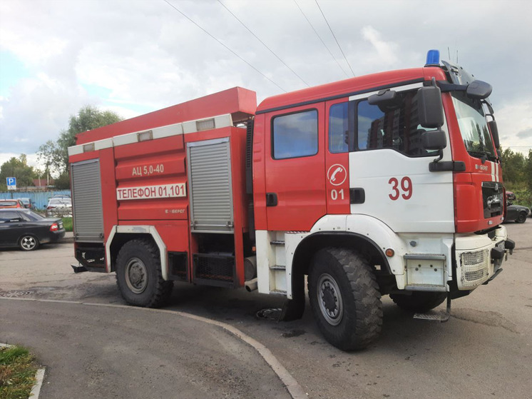 Неизвестные в Новгородском районе подожгли мусор, пожарные тушили его около часа