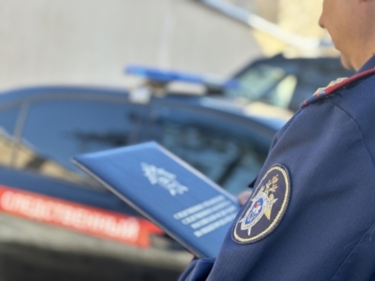 Грузовой поезд насмерть сбил мужчину в Нижегородской области