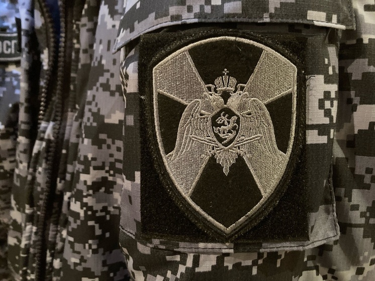 Череповчанка решила похитить товар из магазина, спрятав его в рюкзаке сына