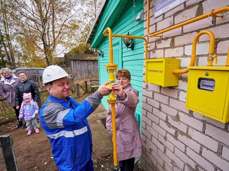 В Новгородской области провели газ еще в две деревни Хвойнинского округа