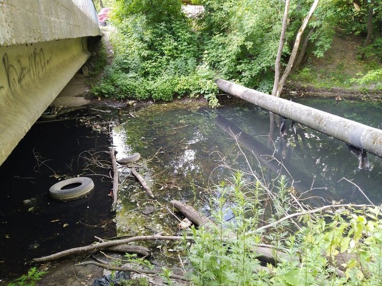 В Нижнем Новгороде построят фонтан, чтобы спасти речку