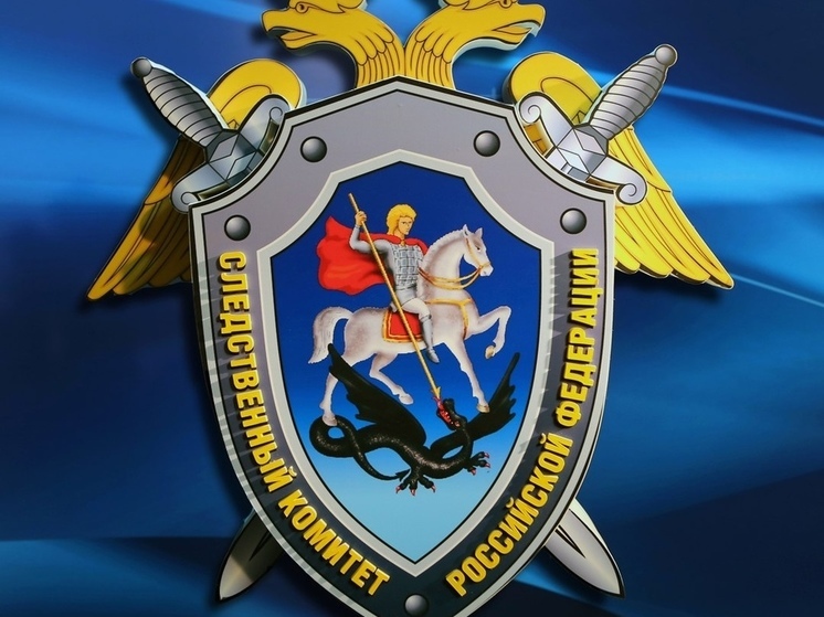 СК в Херсонской области расследовал 47 дел против украинских нацистов