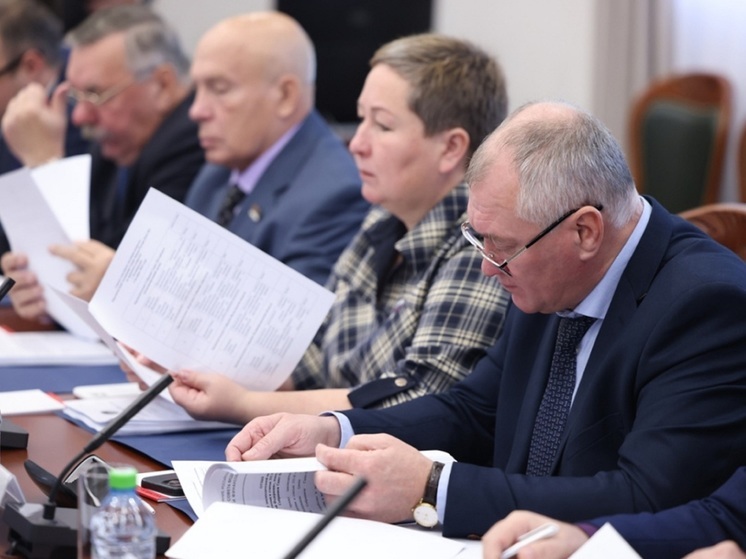 Депутат из НАО принял участие в заседании комитета ПАСЗР