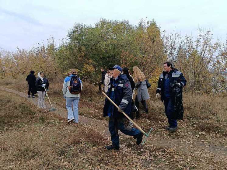 В Тамбове десятки мешков мусора собрали с Бокинских прудов