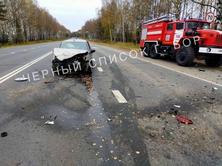 В массовом ДТП на нижегородской трассе погибла женщина