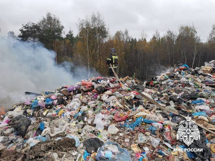 У деревни в Тверской области загорелась свалка