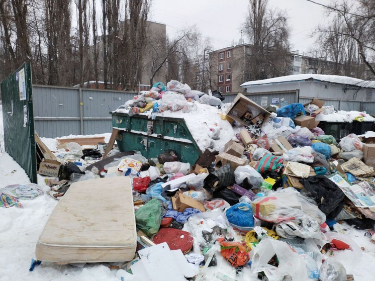 Орловские чиновники напомнили о полномочиях МВД в сфере регулирования ТКО