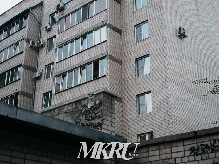 Крысы лезут через унитаз в квартиры дома в Чите