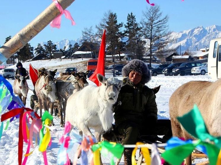 Оленей начали вакцинировать в Забайкалье
