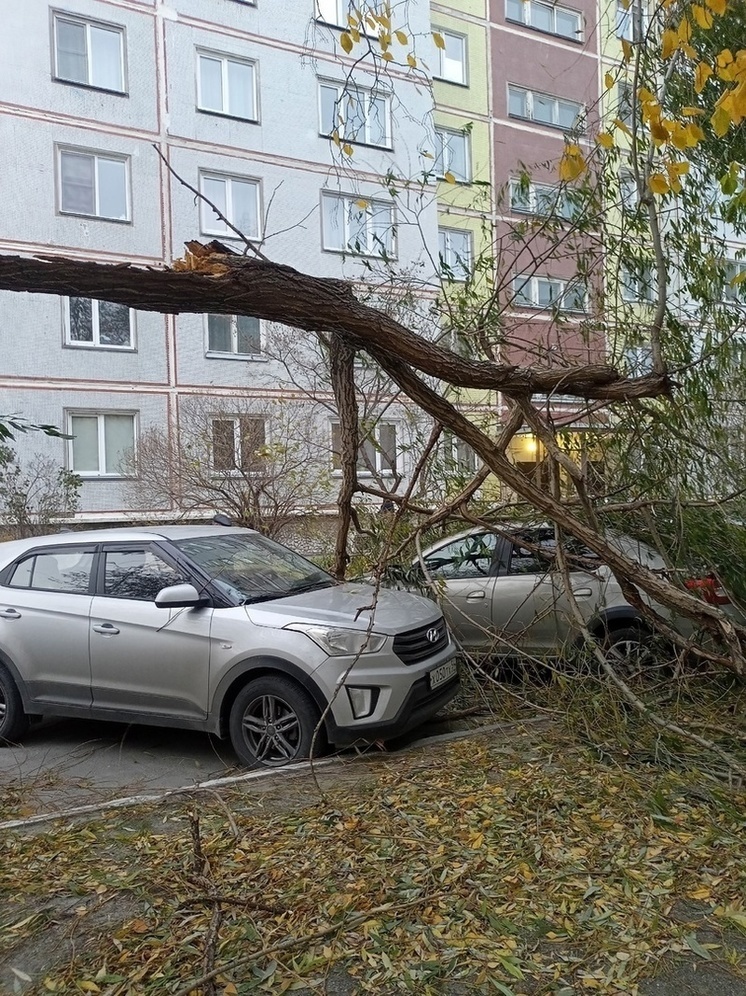 Дорожные службы Новосибирска начали ликвидировать последствия ночного урагана