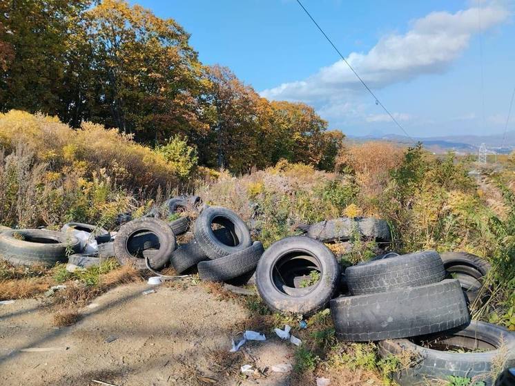 Возле бухта Отрада в Приморье нашли несанкционированную свалку