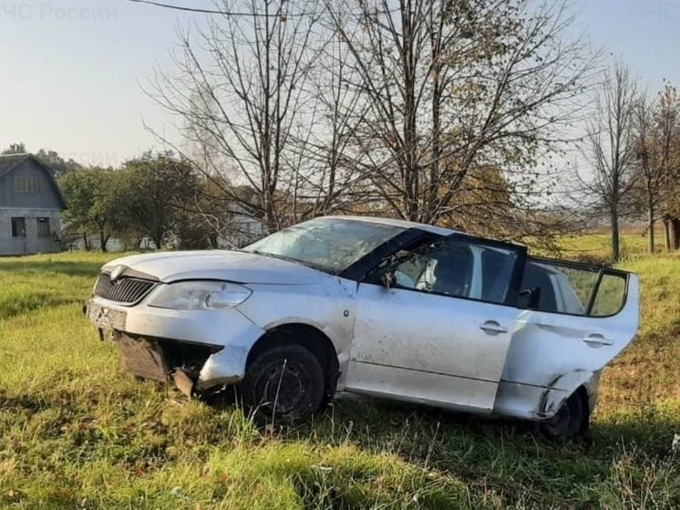 В Козельском районе столкнулись Skoda и Great Wall