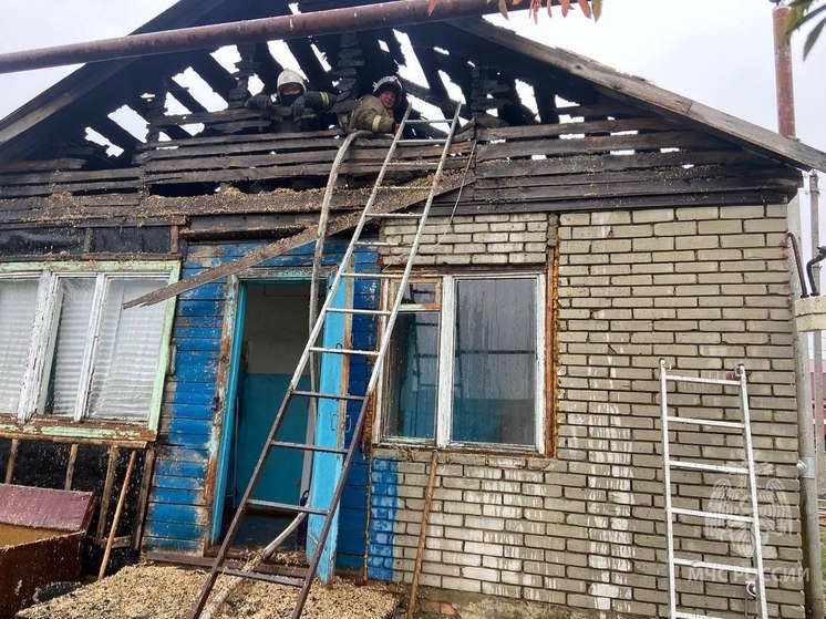 В Пензе на одном из дачных участков сгорел садовый дом