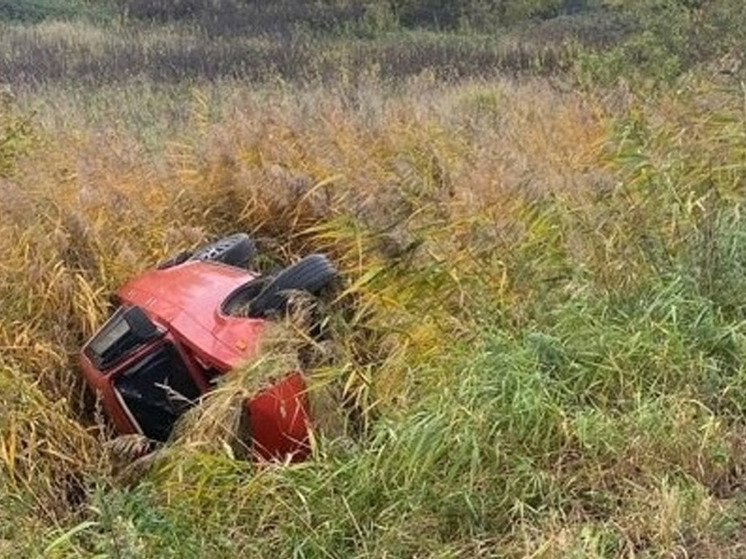 В Новгородском районе 13-летний подросток, управляя легковушкой, съехал в кювет