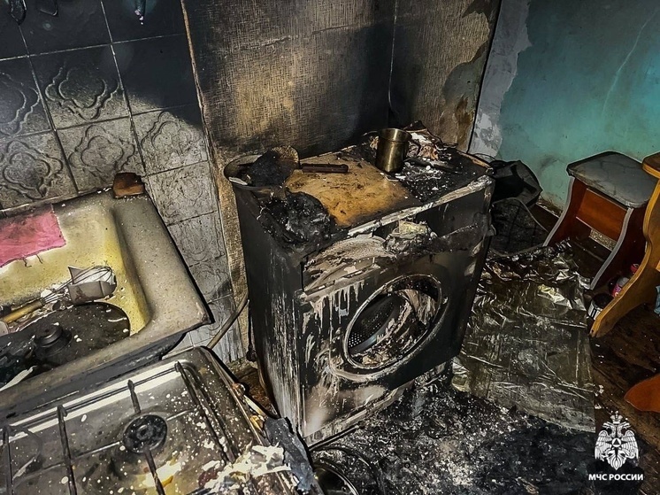 В Смоленске стиральная машина убила двух человек