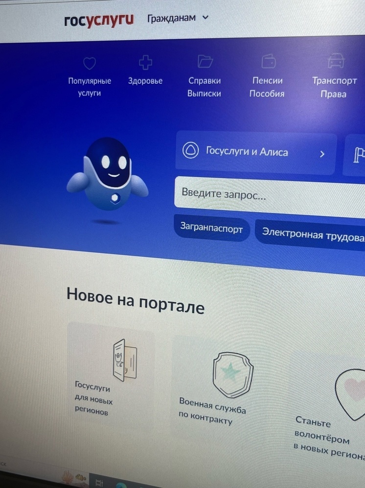 В ДНР справку об участии в СВО можно будет получить через Госуслуги