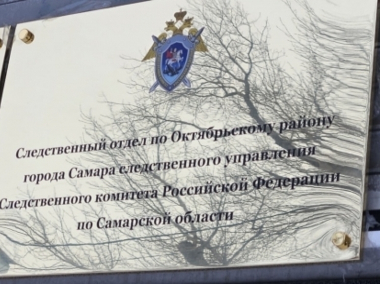 В Самаре суд отправил в колонию мошенника, 8 лет получавшего выплаты по инвалидности