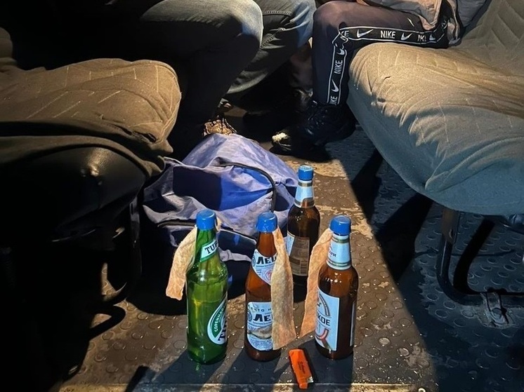 Жителю Барнаула дали 18 лет за попытку поджечь военкомат