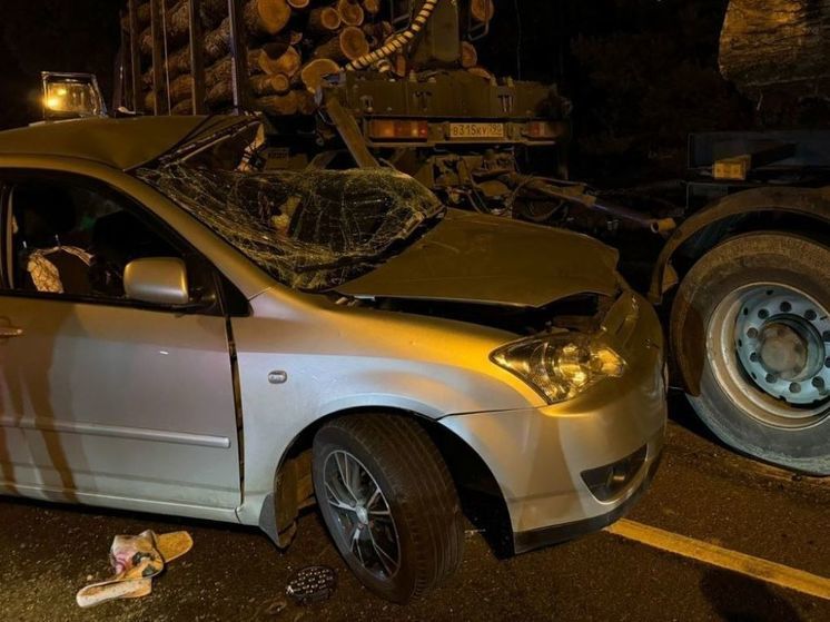 Бабушка и внучка разбились в страшной аварии под Лосино-Петровским