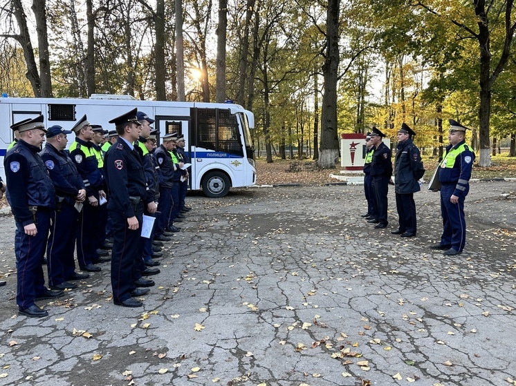 75 нарушений правил дорожного движения выявили тульские автоинспекторы в пятницу