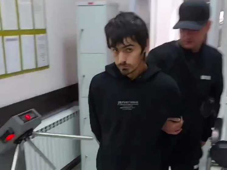 В Подмосковье задержали мигранта за попытку изнасилования женщины