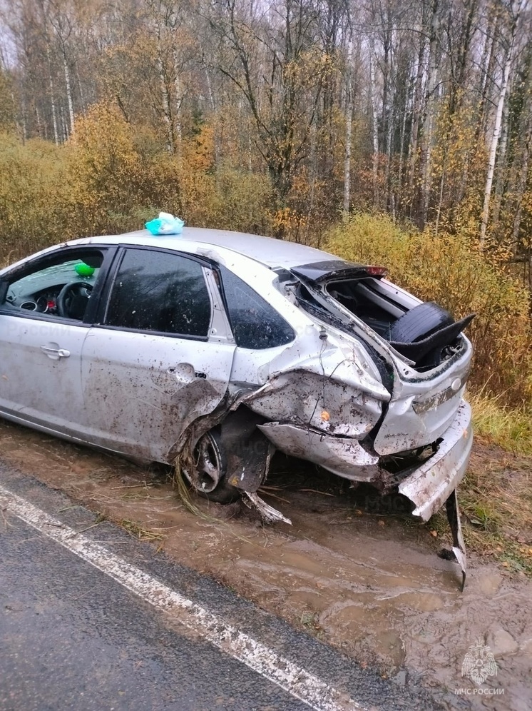 Человек пострадал при съезде Ford Focusа в кювет