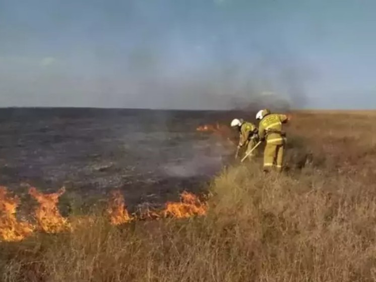 Чрезвычайную пожароопасность прогнозируют в Ростовской области