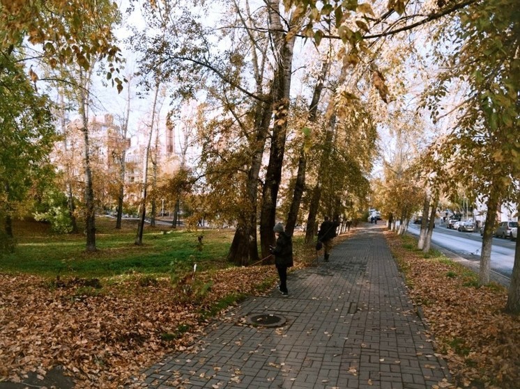 Томские эксперты назвали недочеты в завершенном ремонте Буфф-сада